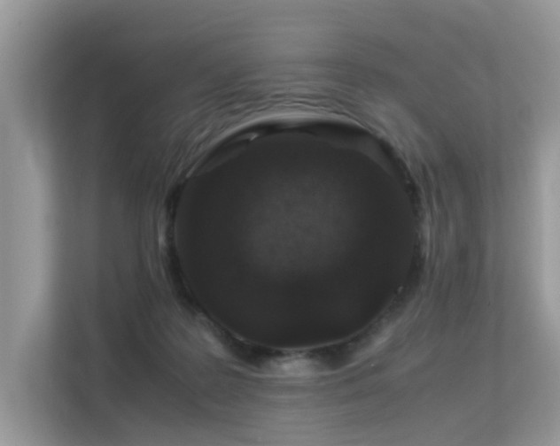 X0000113370219200909151406