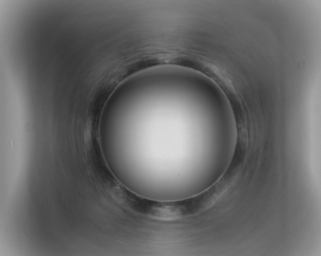 X0000113370221200909151406