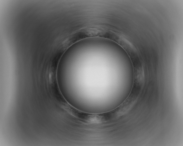 X0000113370226200909151406