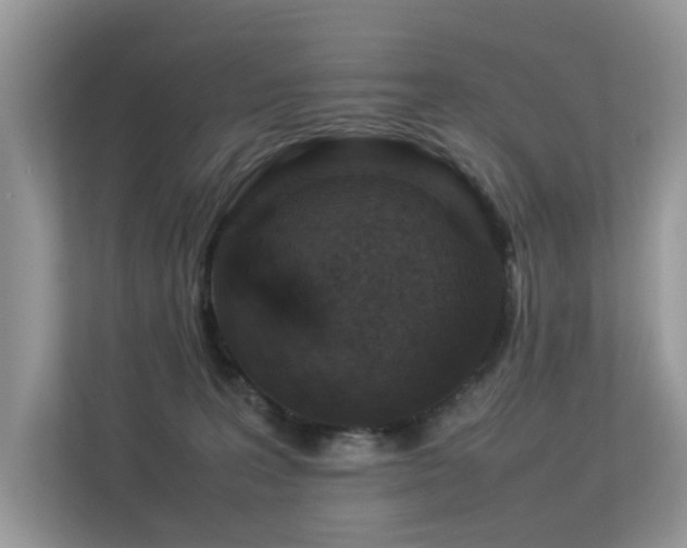 X0000113370227200909151406