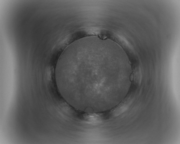 X0000113370229200909151406
