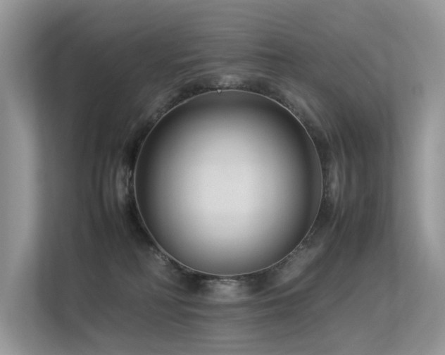 X0000113370230200909151406