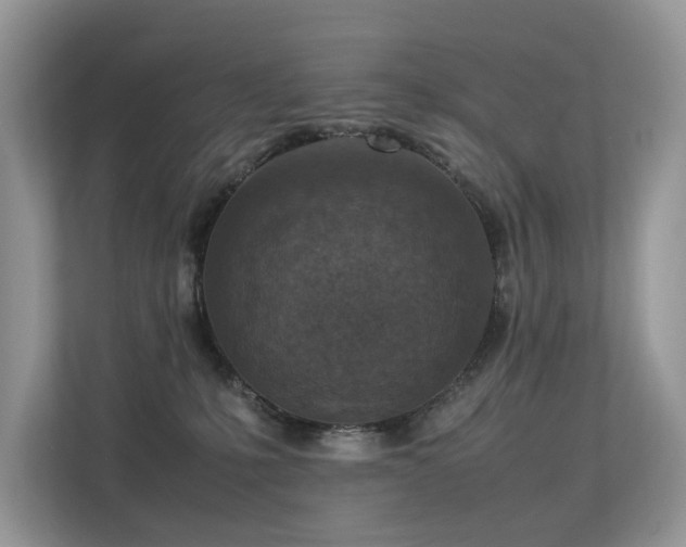 X0000113370231200909151406