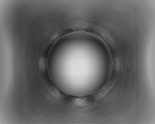 X0000113370232200909151406