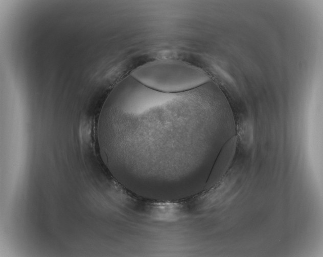 X0000113370233200909151406