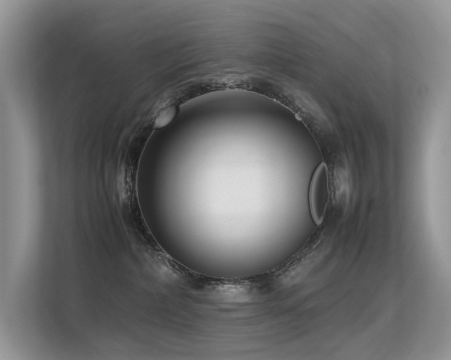 X0000113370236200909151406