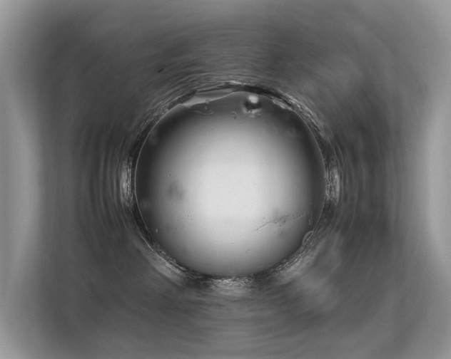 X0000113370238200909151406