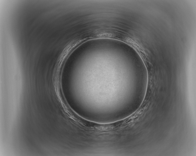 X0000113370241200909151405