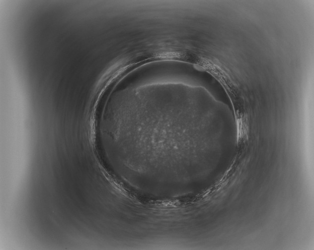 X0000113370243200909151405