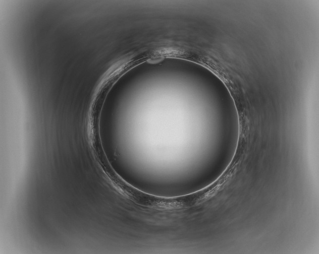 X0000113370245200909151405