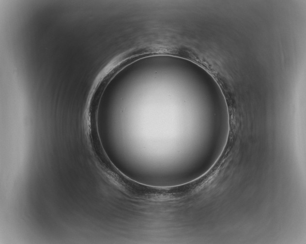 X0000113370246200909151406