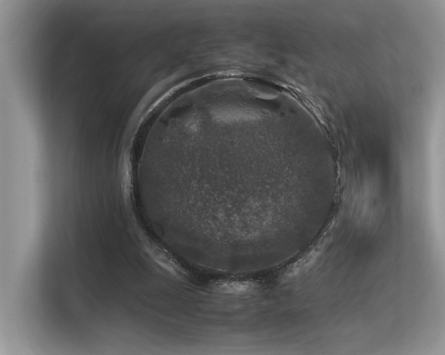 X0000113370247200909151406