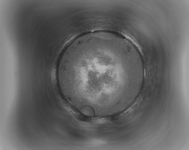 X0000113370249200909151406