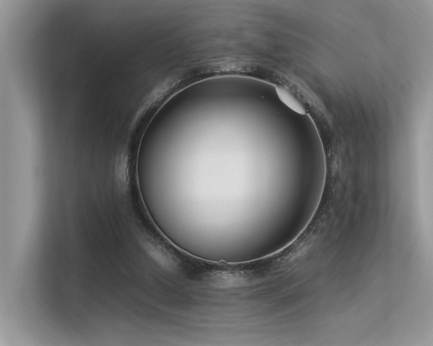 X0000113370250200909151406