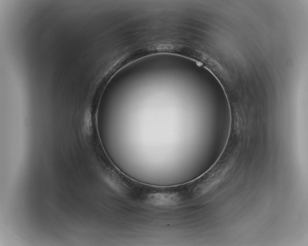 X0000113370251200909151406