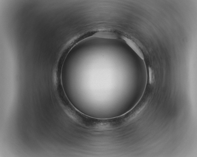 X0000113370252200909151406