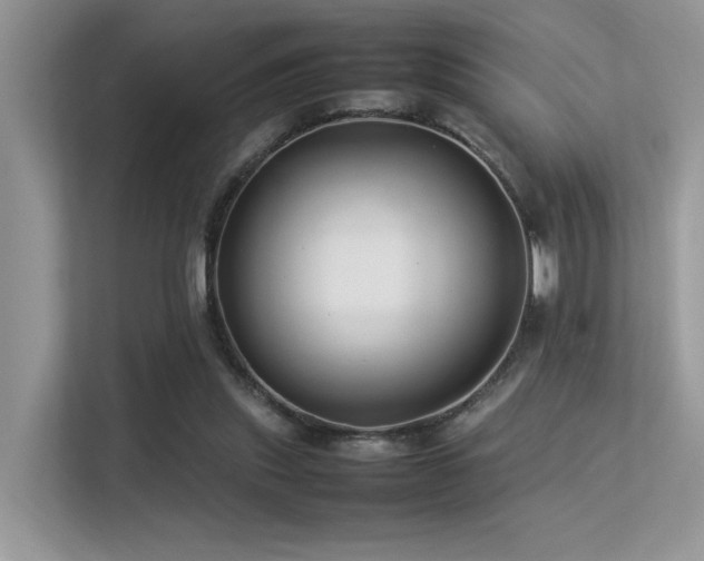 X0000113370253200909151406