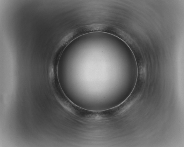 X0000113370254200909151406