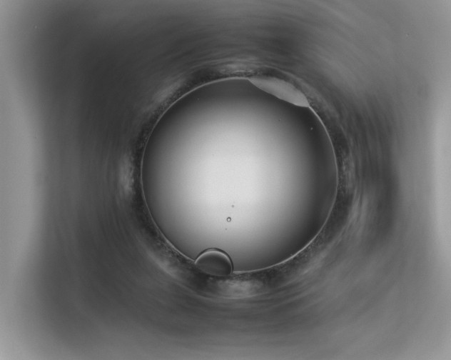 X0000113370255200909151406
