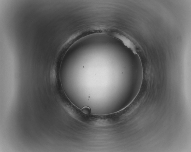 X0000113370256200909151406