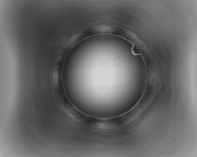 X0000113370259200909151406