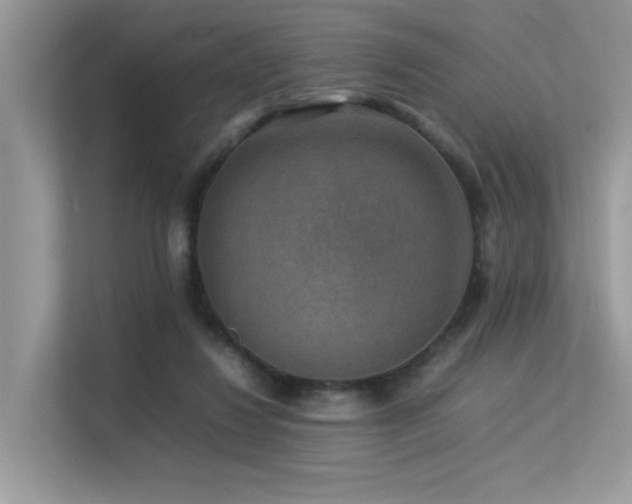 X0000113370260200909151406