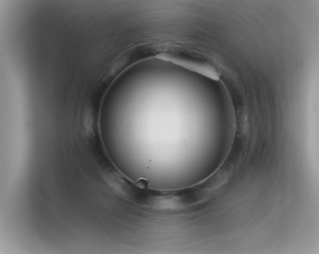 X0000113370266200909151406