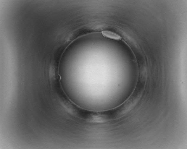 X0000113370268200909151406