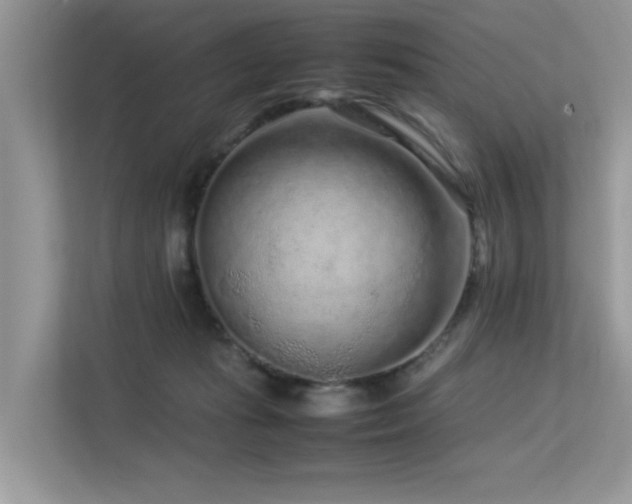 X0000113370269200909151406