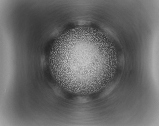 X0000113370272200909151406