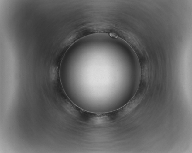 X0000113370278200909151406