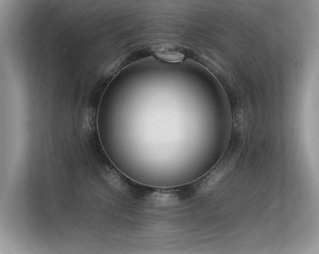X0000113370280200909151406