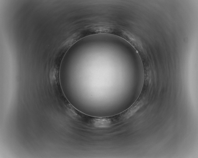 X0000113370281200909151406