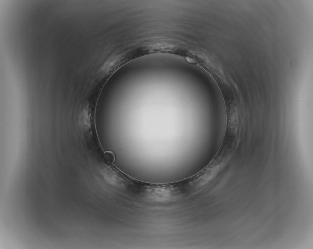X0000113370282200909151406