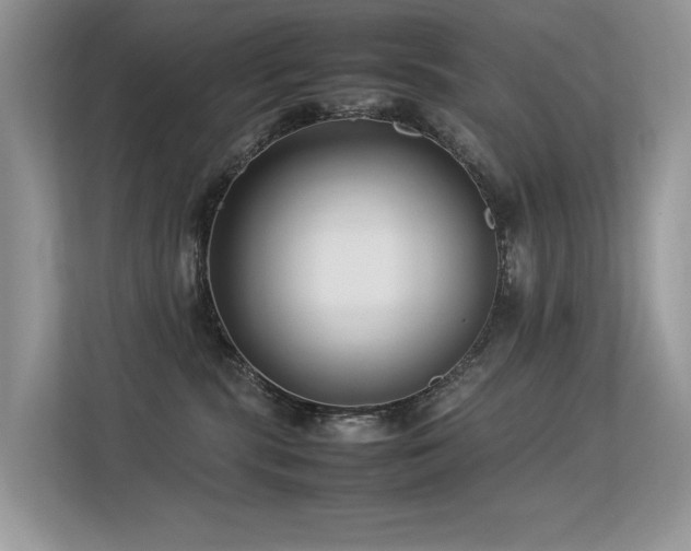 X0000113370283200909151406