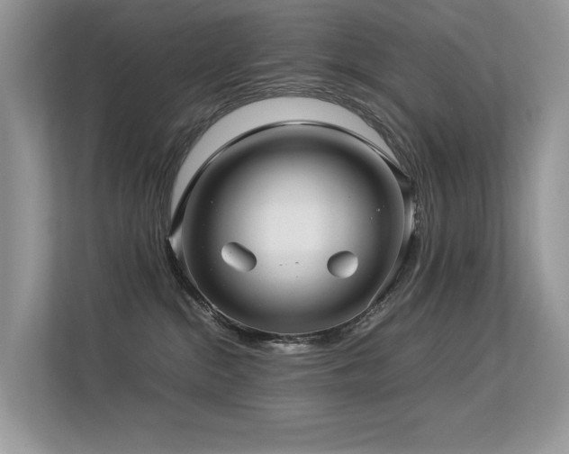 X0000113370284200909151406