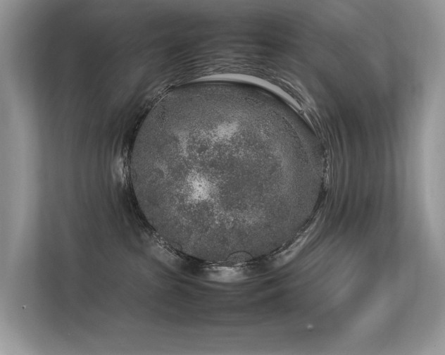 X0000113370285200909151406