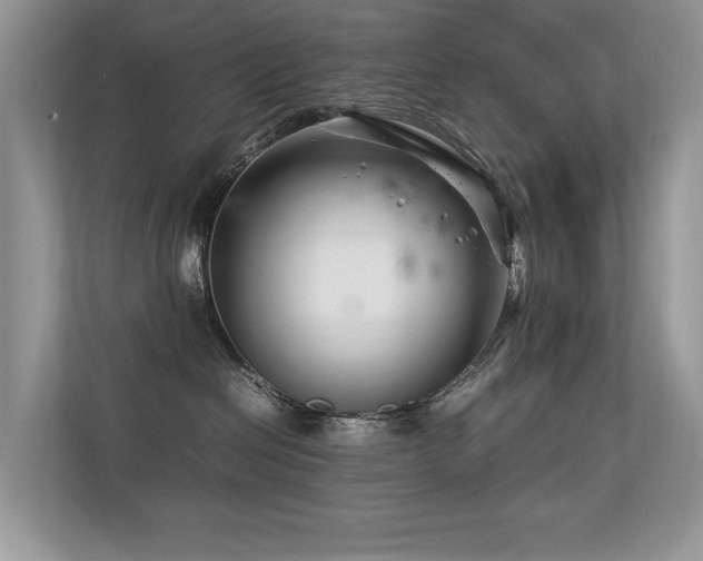 X0000113370286200909151406