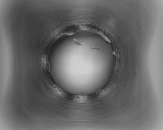 X0000113370288200909151406