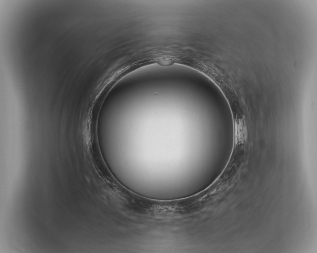 X0000113370291200909151405