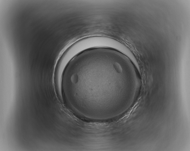 X0000113370292200909151405