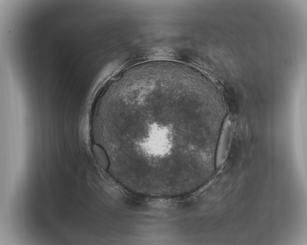 X0000113370293200909151405