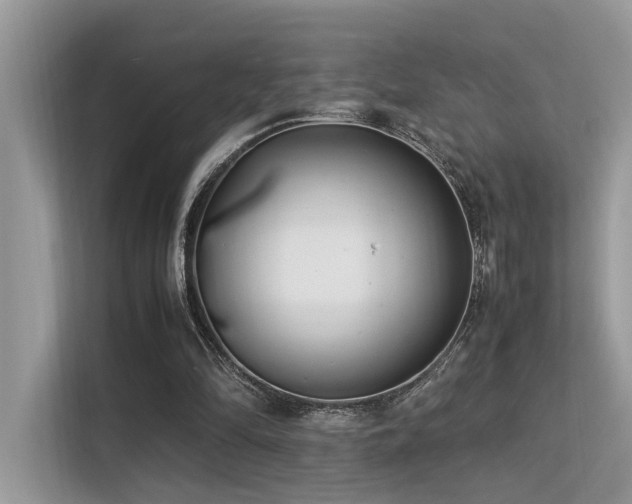X0000113370294200909151405