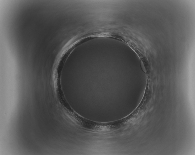 X0000113370295200909151405