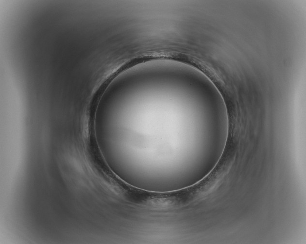X0000113370299200909151405