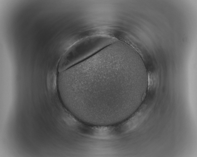 X0000113370301200909151405