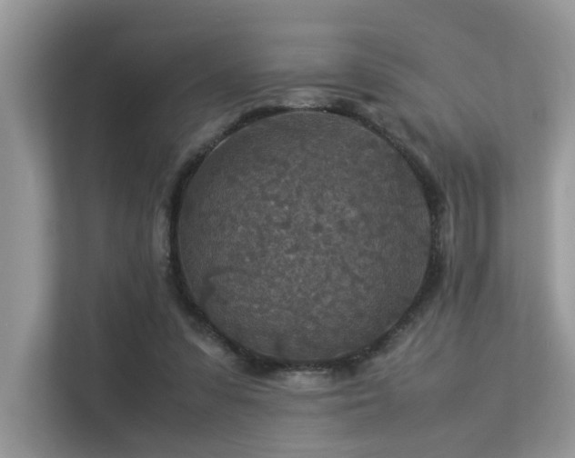 X0000113370303200909151405