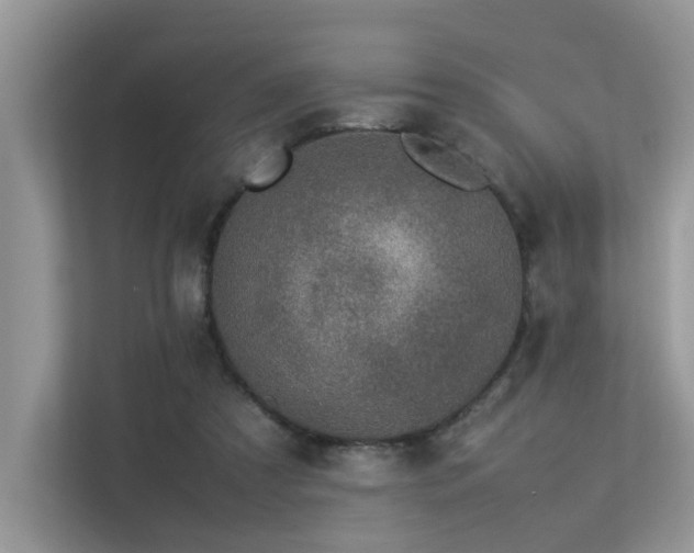 X0000113370305200909151405