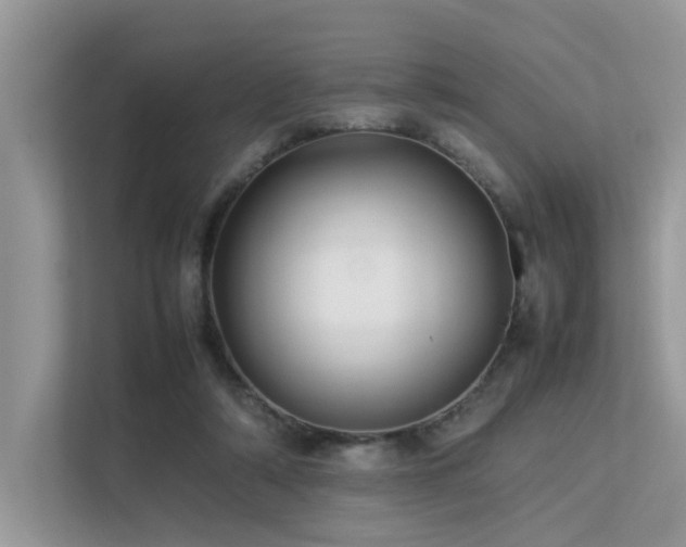 X0000113370306200909151405