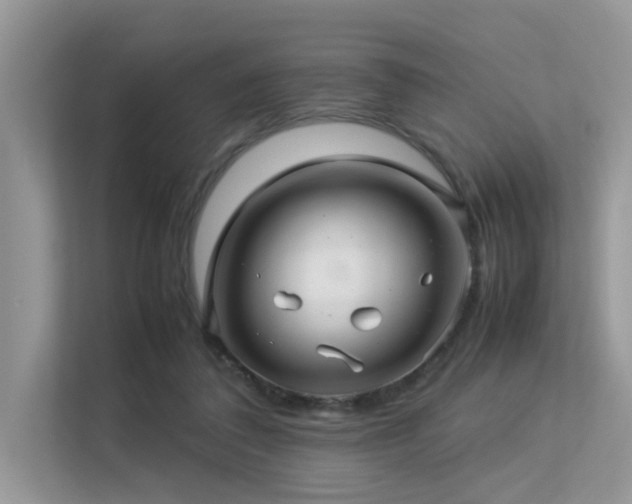 X0000113370308200909151405